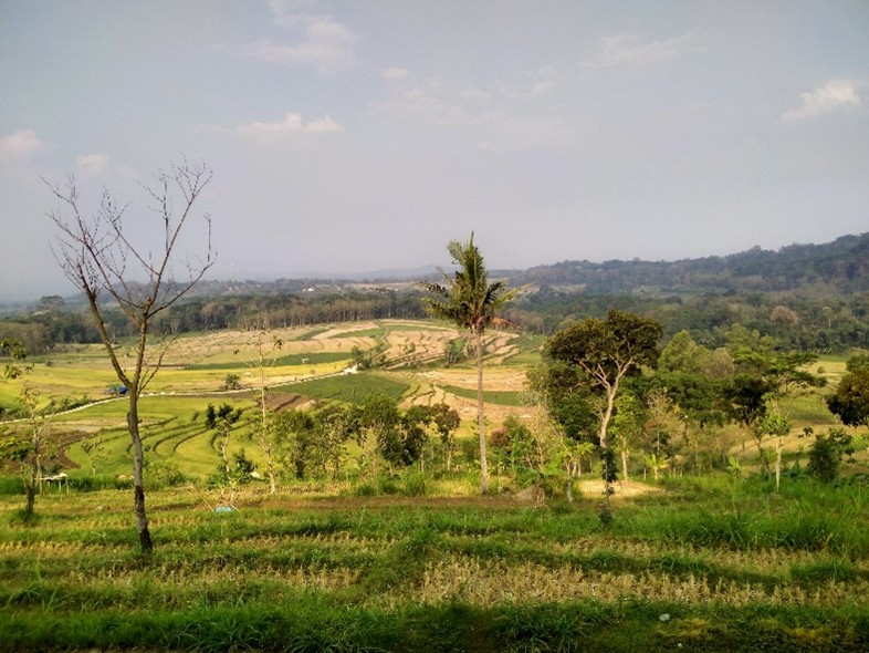 Pemandangan Desa Cukilan